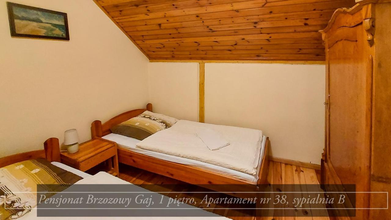 Brzozowy Gaj - Pensjonat Карпач Экстерьер фото
