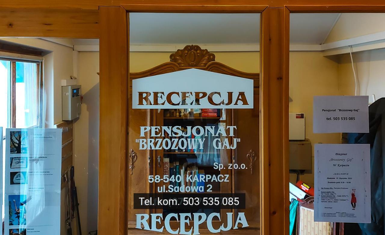 Brzozowy Gaj - Pensjonat Карпач Экстерьер фото