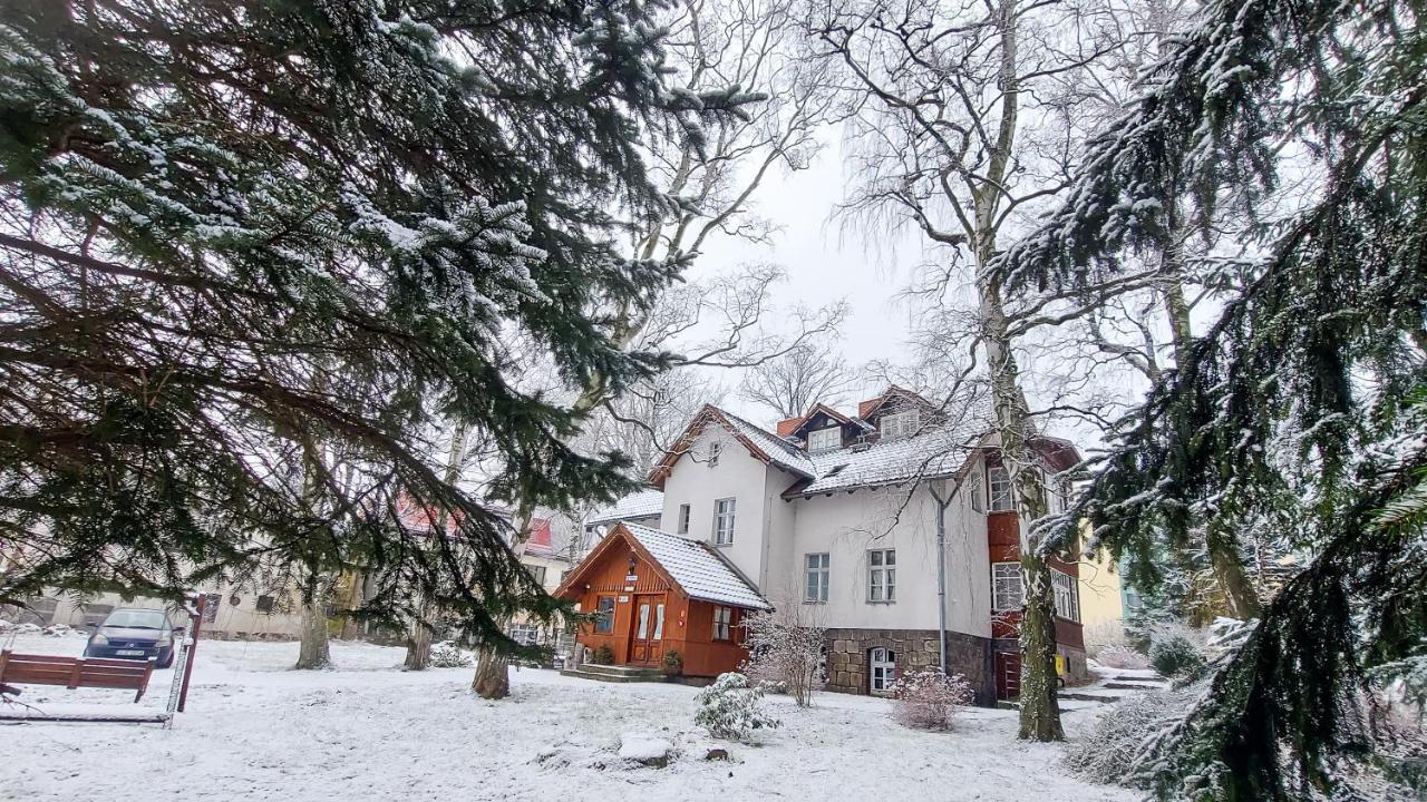 Brzozowy Gaj - Pensjonat Карпач Экстерьер фото